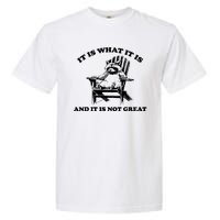 Raccoon It Is What It Is And It Is Not Great Garment-Dyed Heavyweight T-Shirt