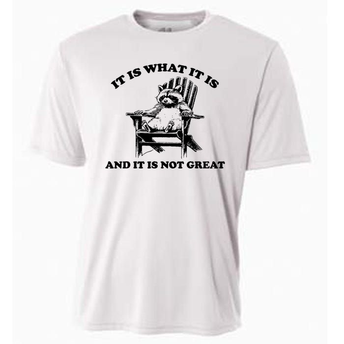 Raccoon It Is What It Is And It Is Not Great Cooling Performance Crew T-Shirt