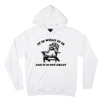 Raccoon It Is What It Is And It Is Not Great Hoodie