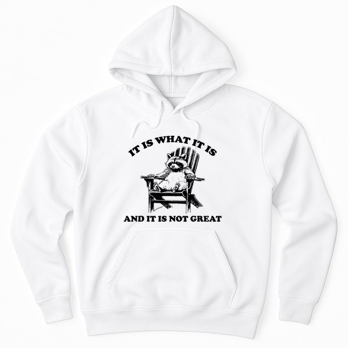 Raccoon It Is What It Is And It Is Not Great Hoodie