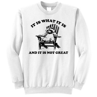 Raccoon It Is What It Is And It Is Not Great Sweatshirt