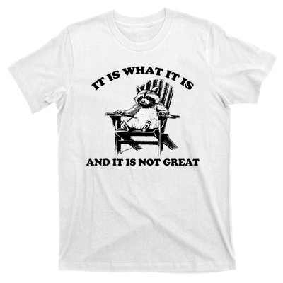 Raccoon It Is What It Is And It Is Not Great T-Shirt