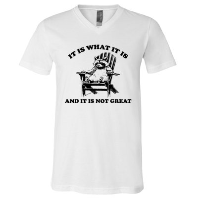 Raccoon It Is What It Is And It Is Not Great V-Neck T-Shirt