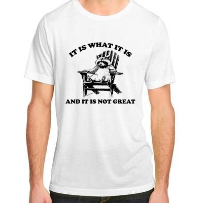 Raccoon It Is What It Is And It Is Not Great Adult ChromaSoft Performance T-Shirt