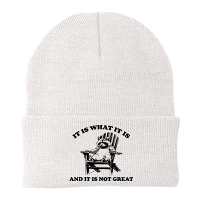 Raccoon It Is What It Is And It Is Not Great Knit Cap Winter Beanie