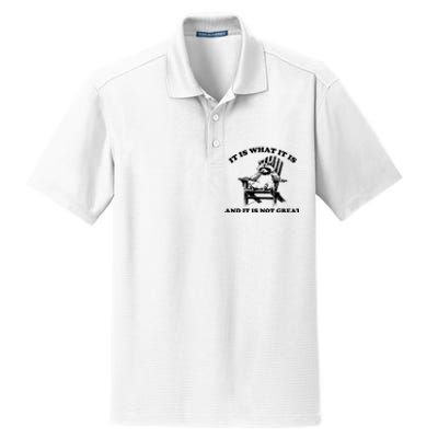 Raccoon It Is What It Is And It Is Not Great Dry Zone Grid Polo