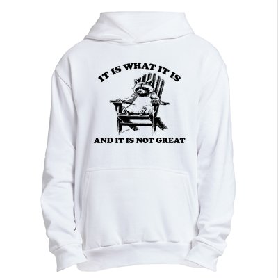 Raccoon It Is What It Is And It Is Not Great Urban Pullover Hoodie