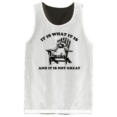 Raccoon It Is What It Is And It Is Not Great Mesh Reversible Basketball Jersey Tank