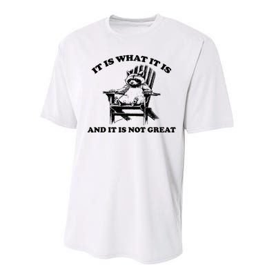 Raccoon It Is What It Is And It Is Not Great Performance Sprint T-Shirt