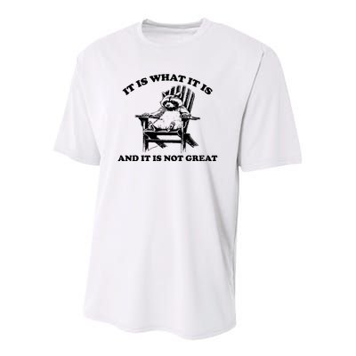 Raccoon It Is What It Is And It Is Not Great Youth Performance Sprint T-Shirt