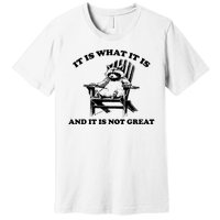 Raccoon It Is What It Is And It Is Not Great Premium T-Shirt