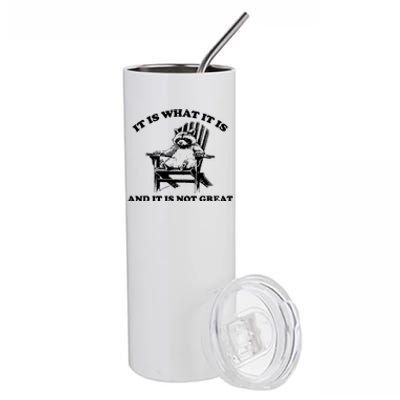 Raccoon It Is What It Is And It Is Not Great Stainless Steel Tumbler