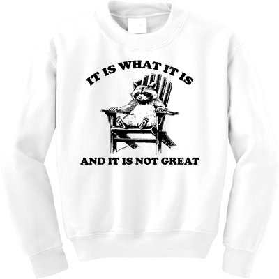 Raccoon It Is What It Is And It Is Not Great Kids Sweatshirt