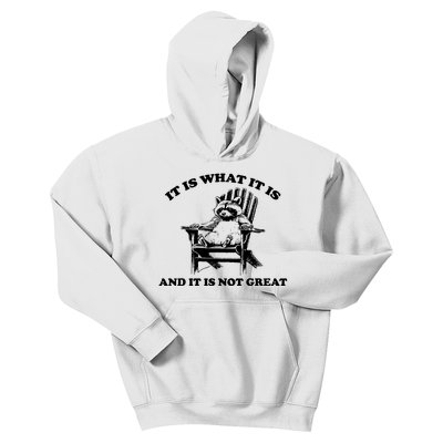 Raccoon It Is What It Is And It Is Not Great Kids Hoodie