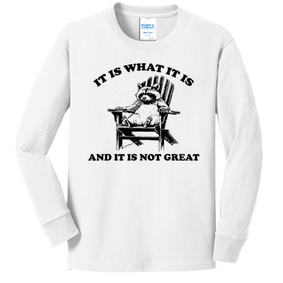 Raccoon It Is What It Is And It Is Not Great Kids Long Sleeve Shirt