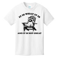 Raccoon It Is What It Is And It Is Not Great Kids T-Shirt