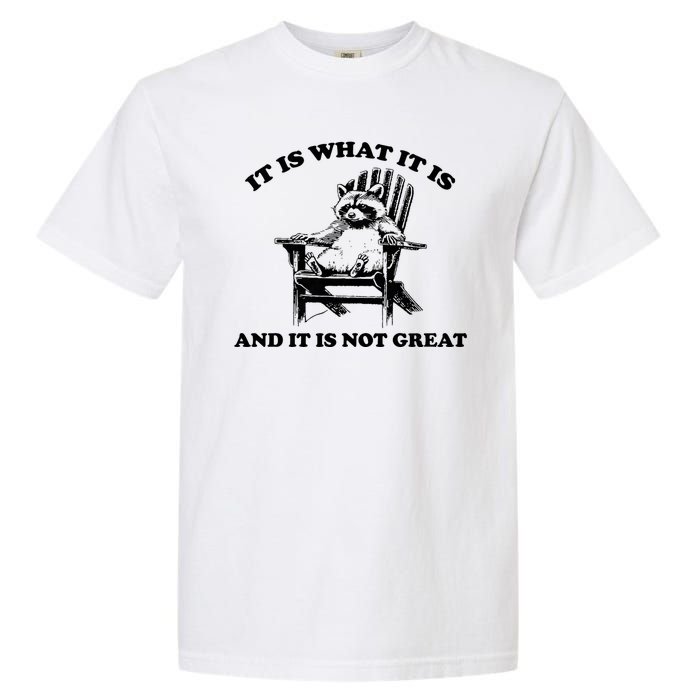 Raccoon It Is What It Is And It Is Not Great Garment-Dyed Heavyweight T-Shirt