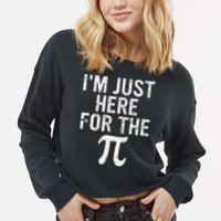 Retro I'm Just Here For The Pi Math Pie Geek Pi Day Cropped Pullover Crew