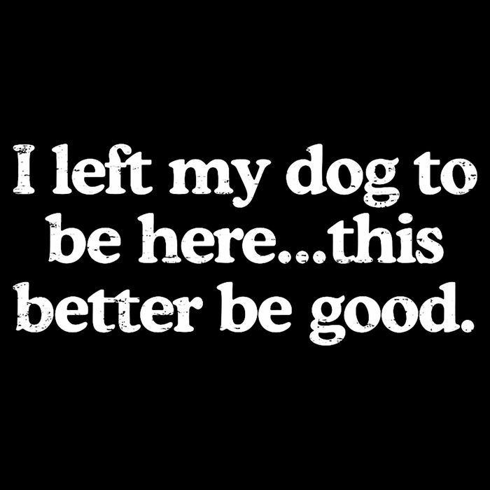 Retro I Left My Dog To Be Here This Better Be Good Funny  Flat Bill Trucker Hat