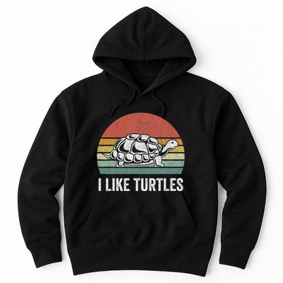 Retro I Like Turtles Turtle Turtle Lover Gifts Vintage Hoodie