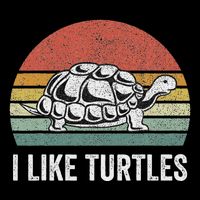 Retro I Like Turtles Turtle Turtle Lover Gifts Vintage Button