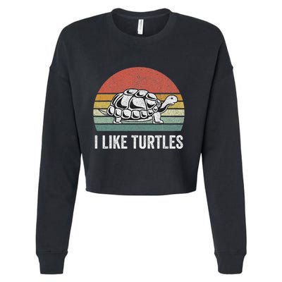 Retro I Like Turtles Turtle Turtle Lover Gifts Vintage Cropped Pullover Crew