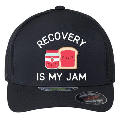 Recovery Is My Jam Funny Celebrate Clean And Sober Gifts Flexfit Unipanel Trucker Cap