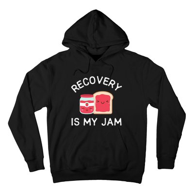 Recovery Is My Jam Funny Celebrate Clean And Sober Gifts Hoodie