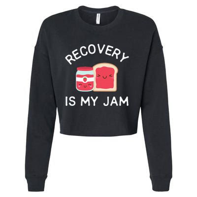 Recovery Is My Jam Funny Celebrate Clean And Sober Gifts Cropped Pullover Crew