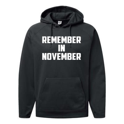 Remember In November Hurricane Helene Relief Efforts Performance Fleece Hoodie