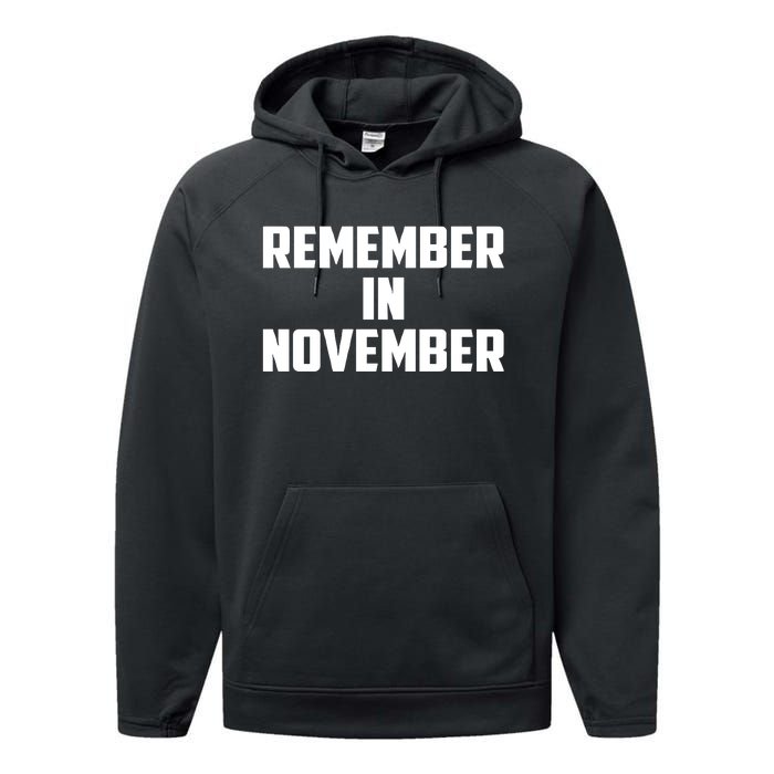 Remember In November Hurricane Helene Relief Efforts Performance Fleece Hoodie