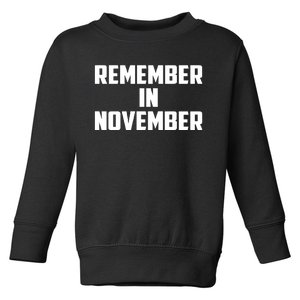 Remember In November Hurricane Helene Relief Efforts Toddler Sweatshirt