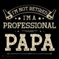 Retro Im Not Retired A Professional Papa Gift For Dad Flatbill Hat
