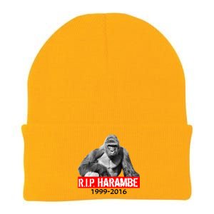 RIP Harambe Gorilla Cincinnati Zoo Knit Cap Winter Beanie