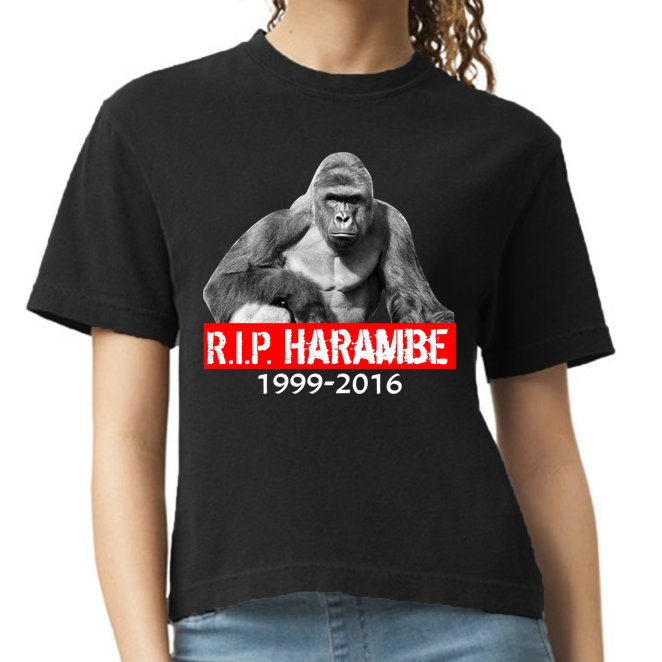 RIP Harambe Gorilla Cincinnati Zoo Comfort Colors Boxy T-Shirt
