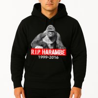 RIP Harambe Gorilla Cincinnati Zoo Hoodie