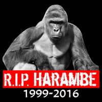 RIP Harambe Gorilla Cincinnati Zoo 16 in Basic Backpack