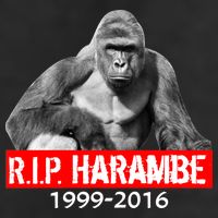 RIP Harambe Gorilla Cincinnati Zoo Golf Towel