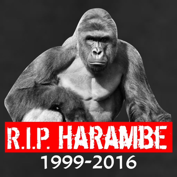 RIP Harambe Gorilla Cincinnati Zoo Golf Towel