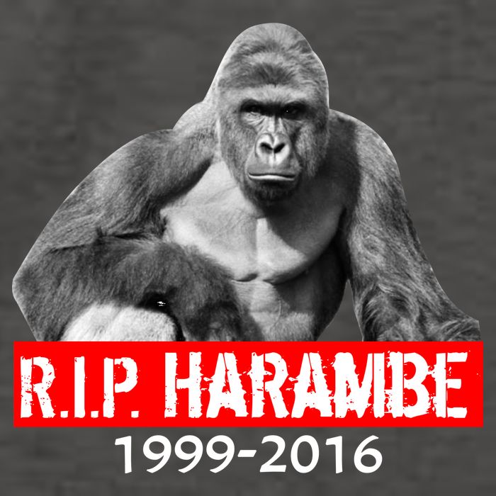 RIP Harambe Gorilla Cincinnati Zoo Vector Backpack