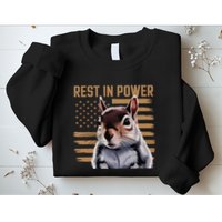 Rest In Power For Peanut The Squirrel Justice For The Peanut Sweatshirt