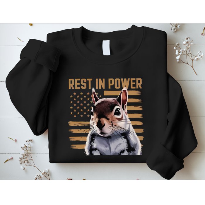 Rest In Power For Peanut The Squirrel Justice For The Peanut Sweatshirt