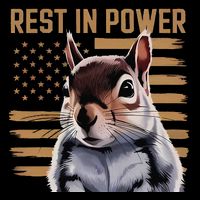 Rest In Power For Peanut The Squirrel Justice For The Peanut Sweatshirt