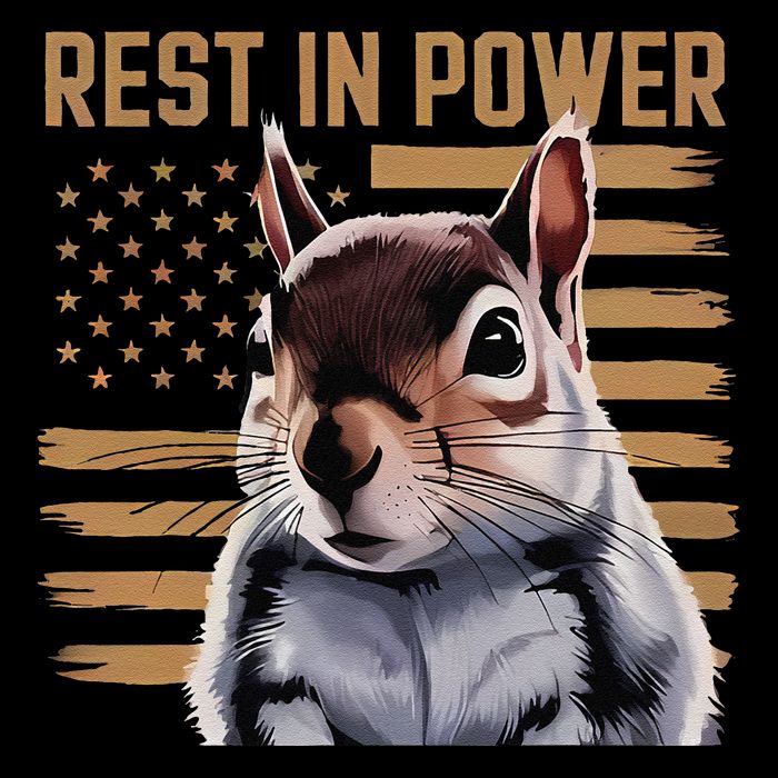 Rest In Power For Peanut The Squirrel Justice For The Peanut Sweatshirt