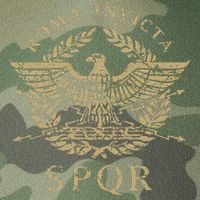 Roma Invicta Spqr Roman Eagle Distressed Legacy Tie Dye Trucker Hat