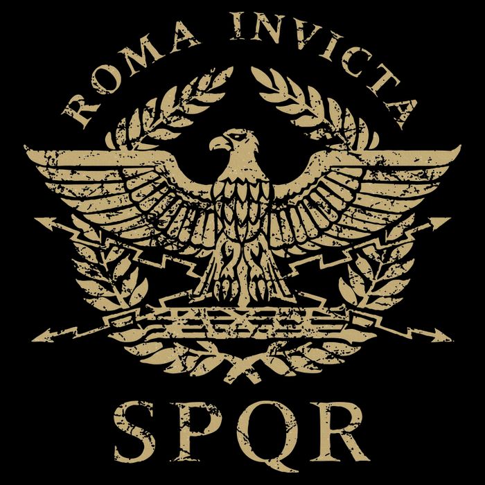 Roma Invicta Spqr Roman Eagle Distressed Womens T-Shirt