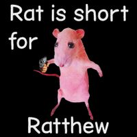 Rat Is Short For Ratthew Meme 7-Panel Snapback Hat