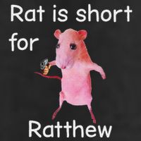 Rat Is Short For Ratthew Meme Beanie