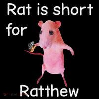 Rat Is Short For Ratthew Meme Flatbill Hat