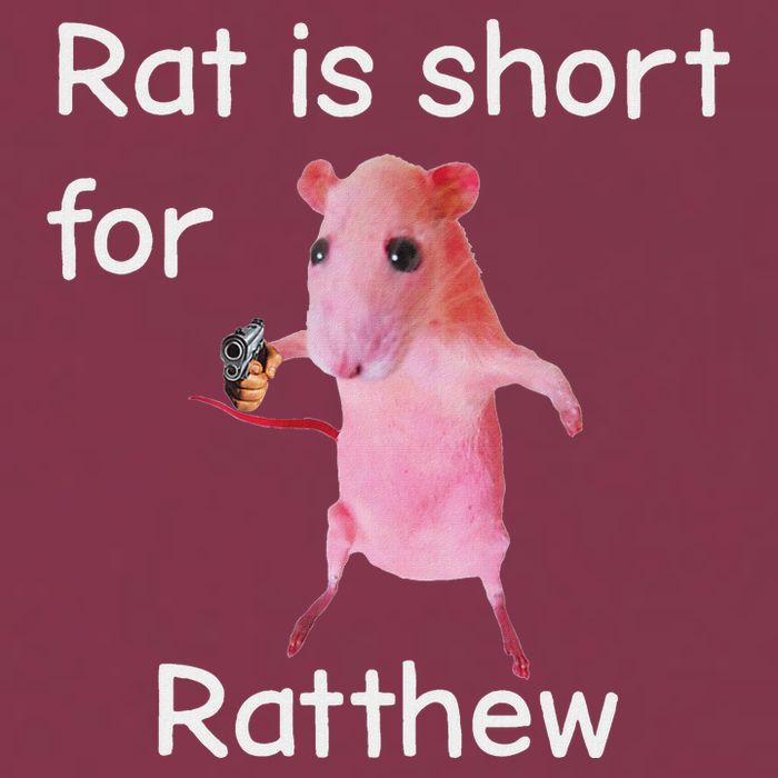 Rat Is Short For Ratthew Meme 16oz Travel Tumbler